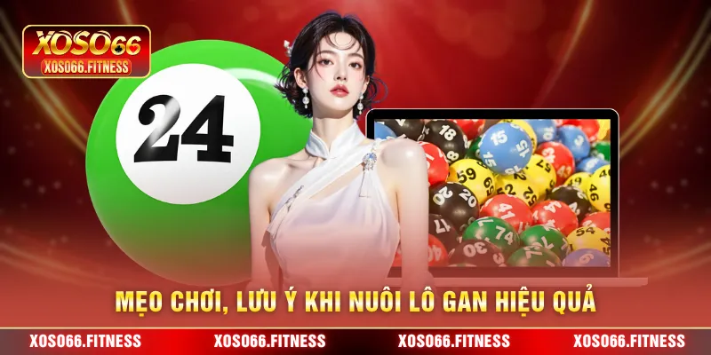 Mẹo chơi, lưu ý khi nuôi lô gan hiệu quả